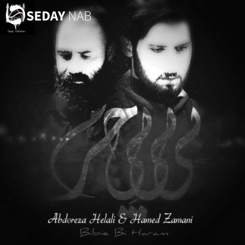 دانلود آهنگ جدید حامد زمانی به نام امام رضا ۱